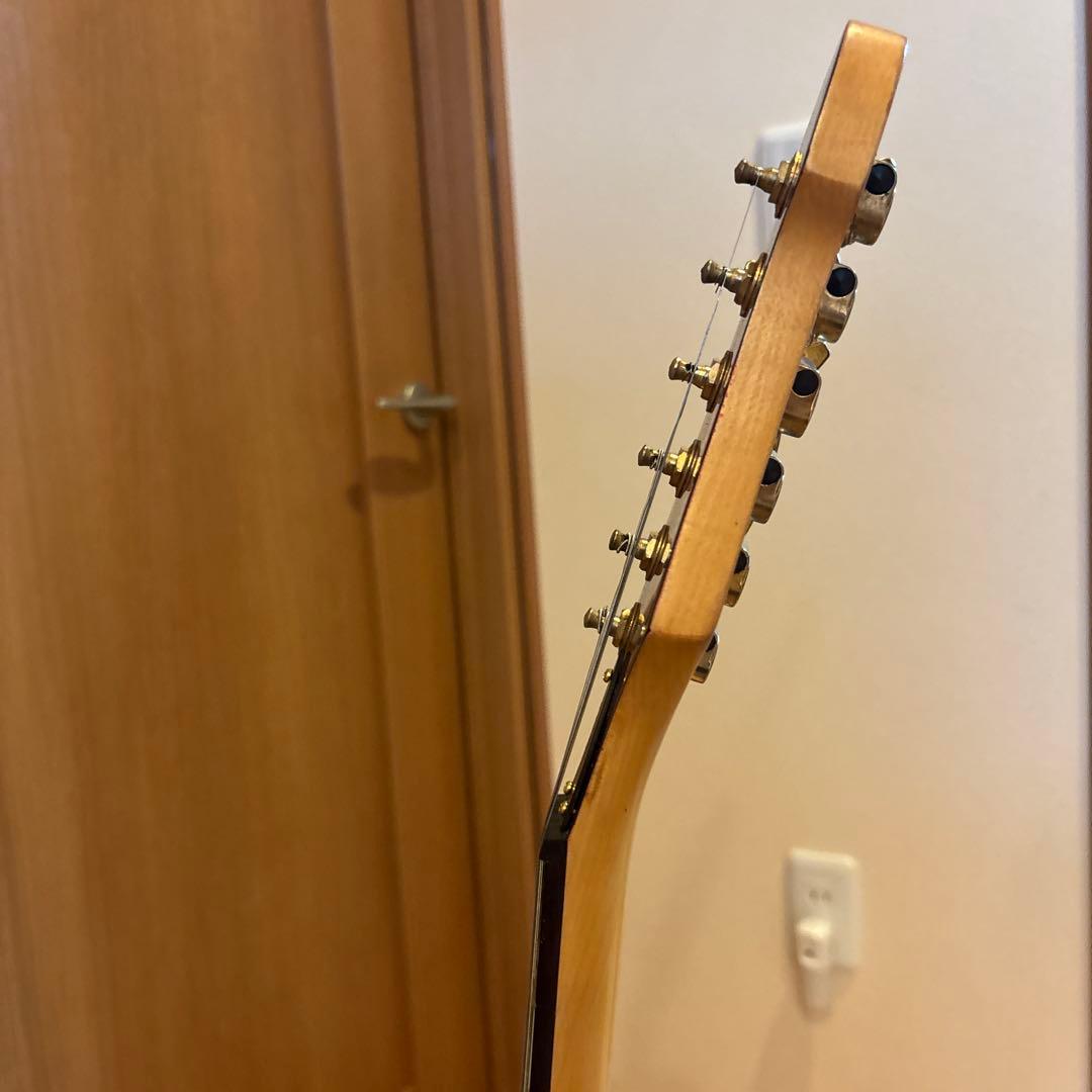 ARIA PRO II Magna Series ゴールドパーツ アーム付