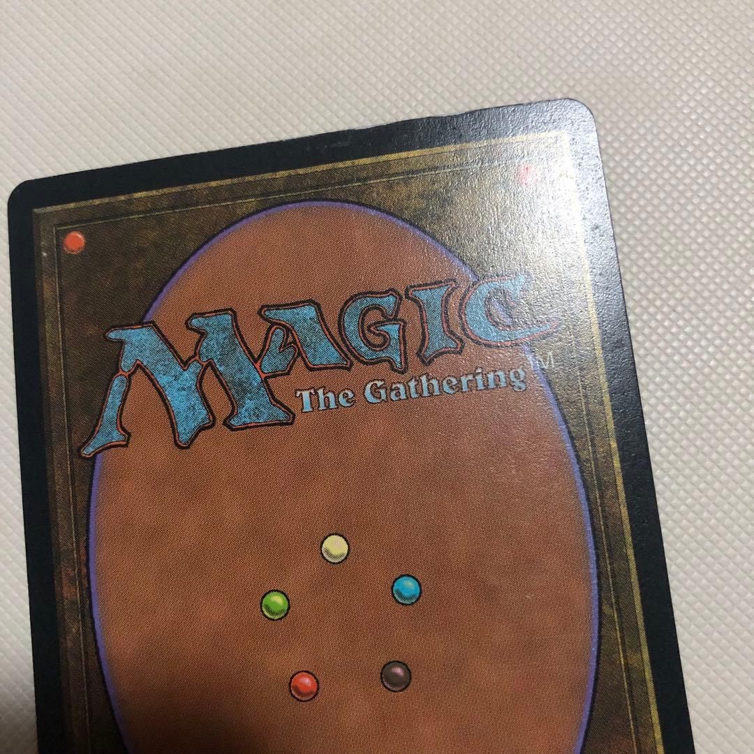 水蓮の花びら 4枚セット 中国語 繁体字 他言語 mtg