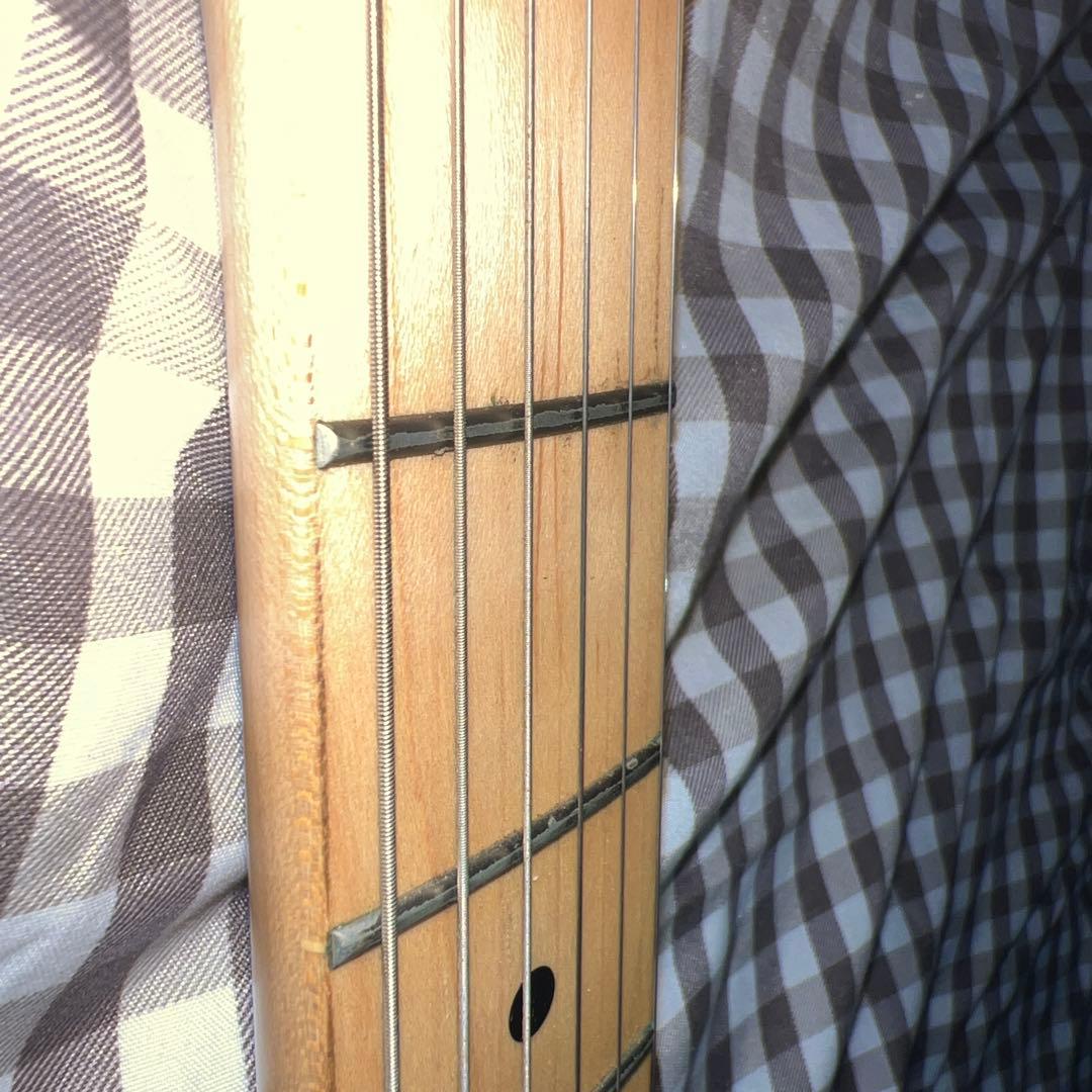 FUJIGEN EST1960 エレキギター