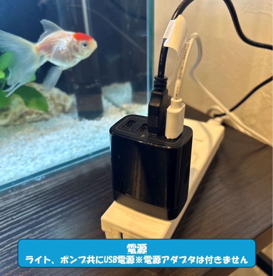 【格安】上部濾過アクアリウム水槽　アクアポニックス（観葉植物）仕様