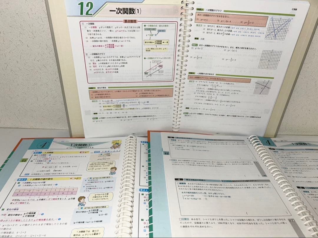【高校入試対策】でるとこ凝縮　まとめ売り限定価格