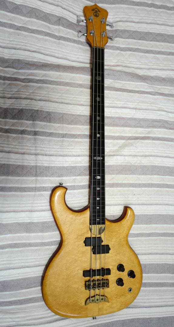 限定！ Alembic Persuader Fretless エポキシ