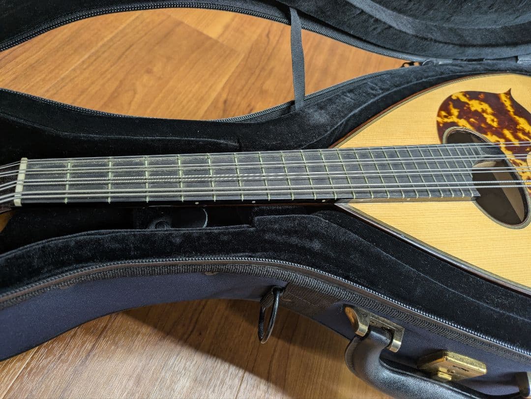 マンドラ Mandola(セミハードケース付)【落合忠男製作/特注品】