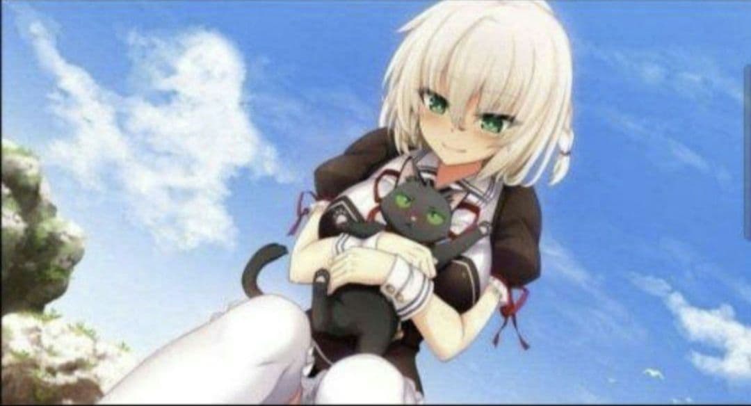 美品 ノラと皇女と野良猫ハートHD ＆美品 2 B2タペストリー同梱版セット