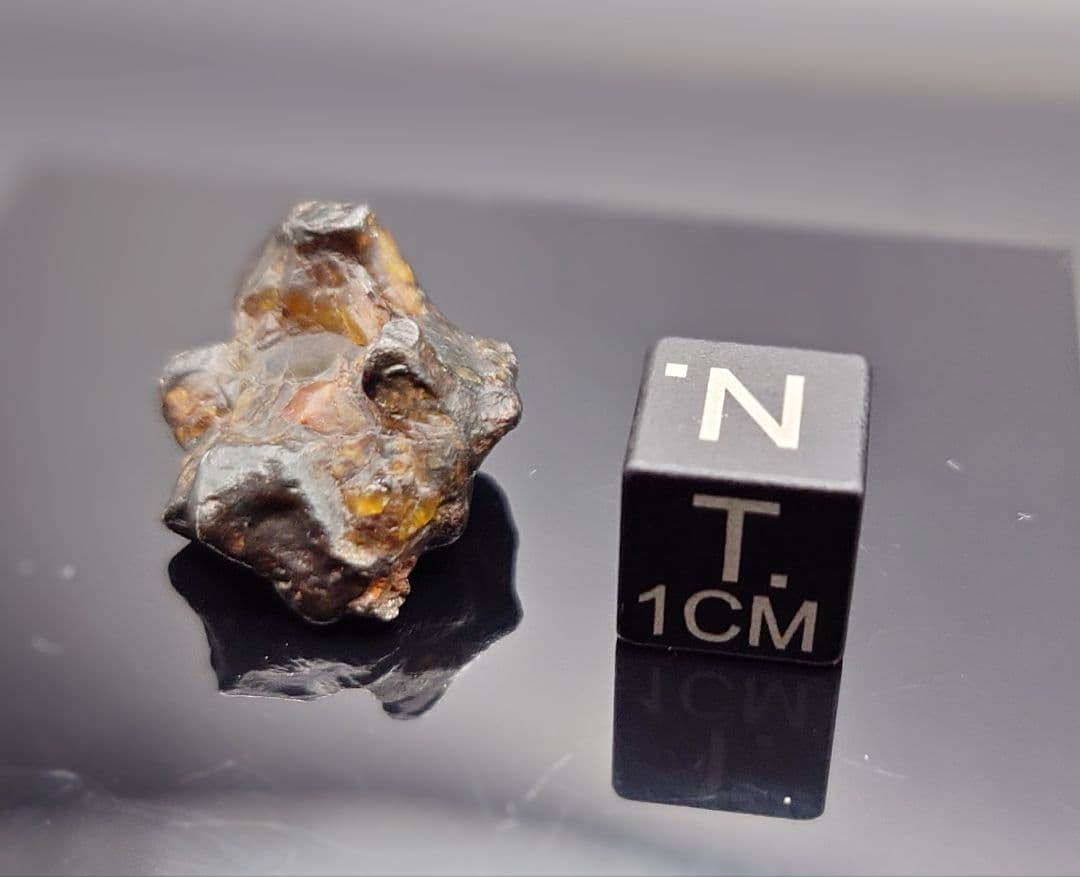 隕石 ゴールデン パラサイト⭐