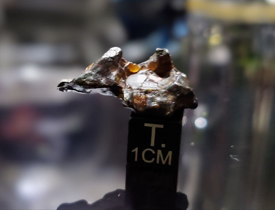 隕石 ゴールデン パラサイト⭐