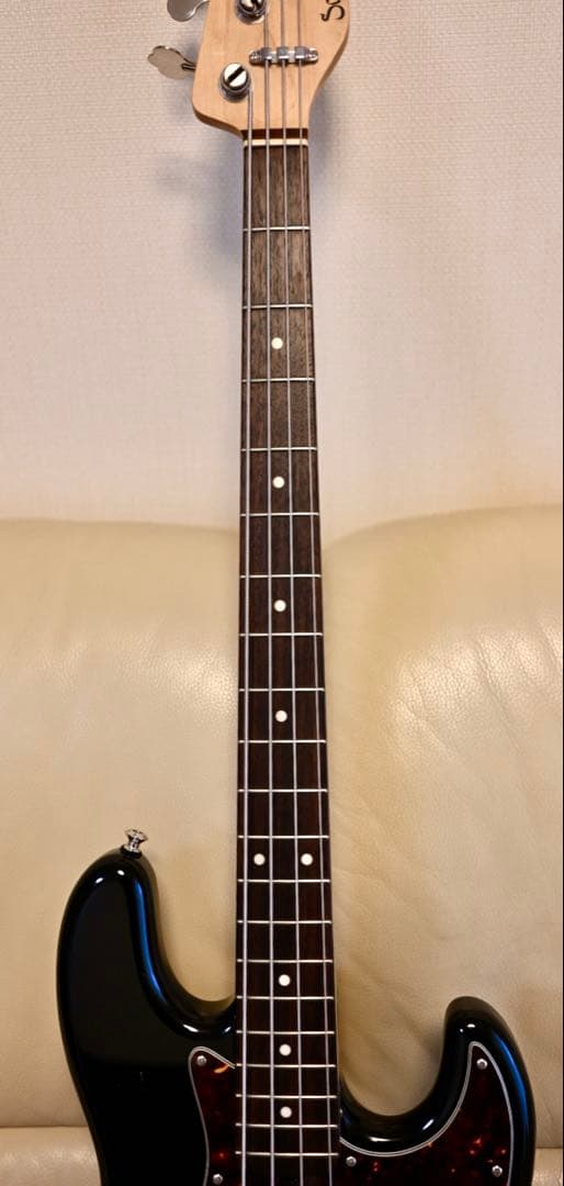 今日だけ特別値下げSadowsky Metroline UV60 PLEK済