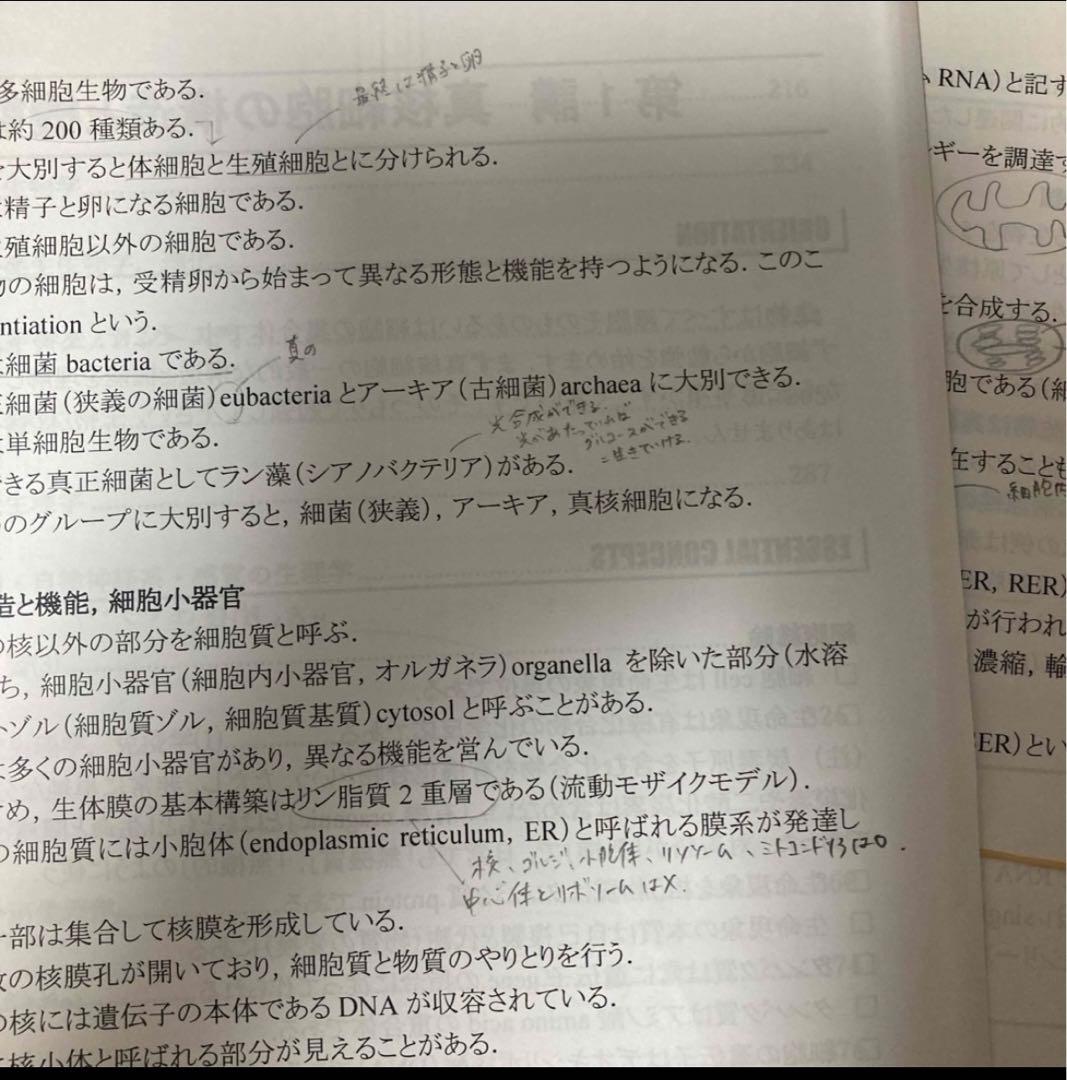 【2024年度】　KALS 基礎・完成シリーズ(生物、化学、物理、英語、数学)