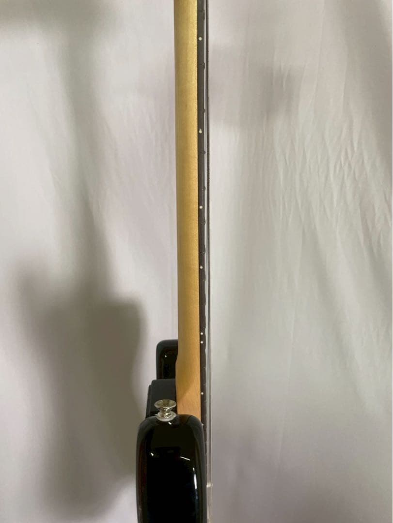 フォトジェニックエレキギター