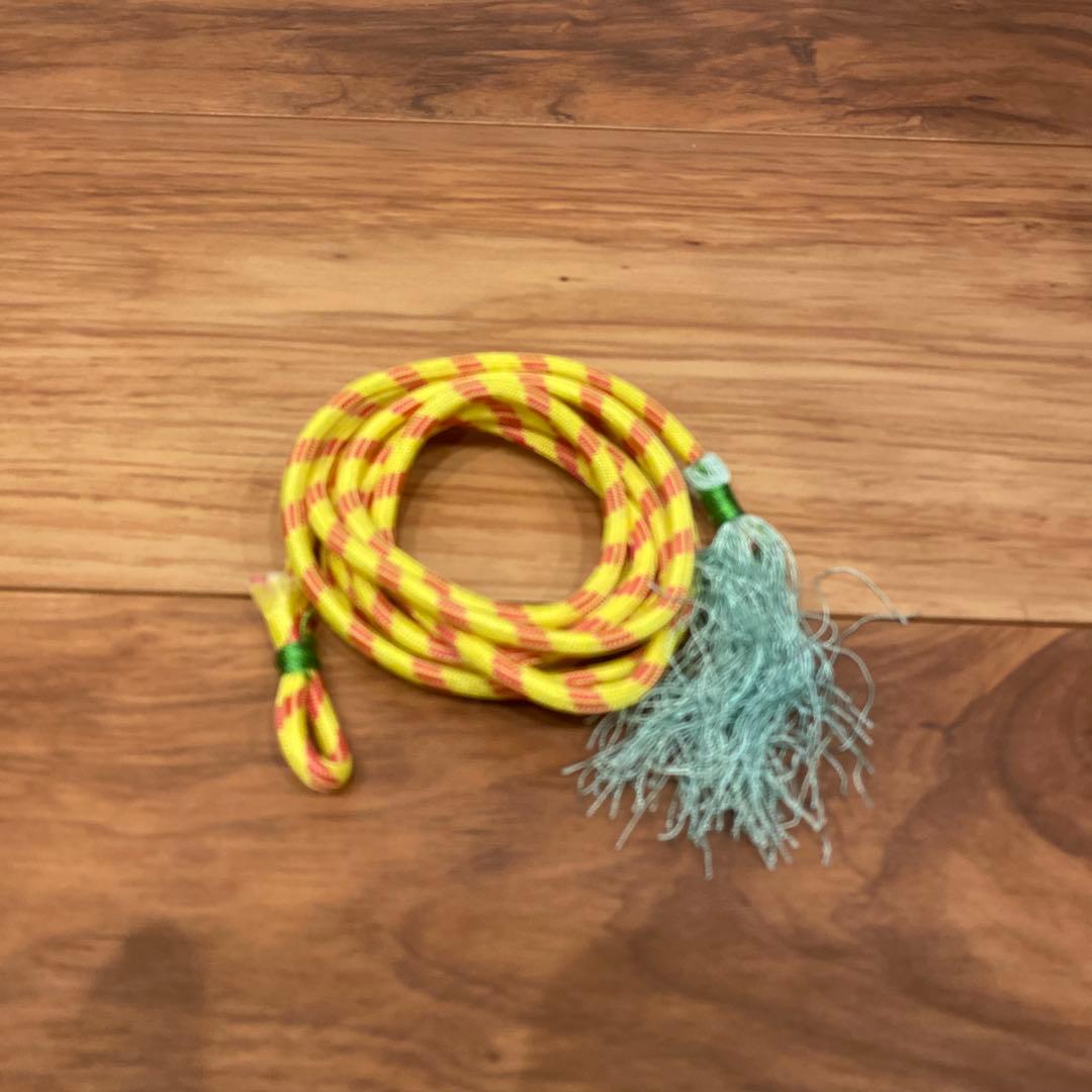 Silvertone 1965年 604ヴィンテージギター stella kay