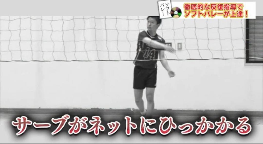 ソフトバレーボール上達革命 Disc 1 .2