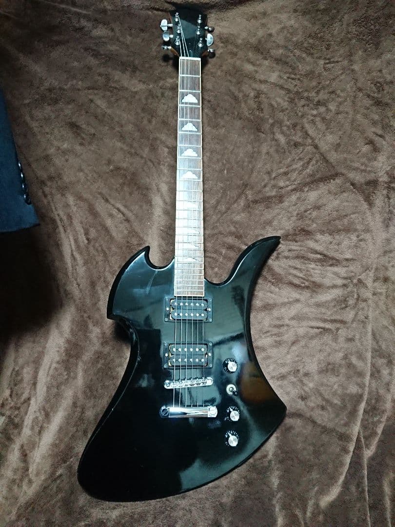 【土日限定】カスタム モッキンバード モデル ARIA hide