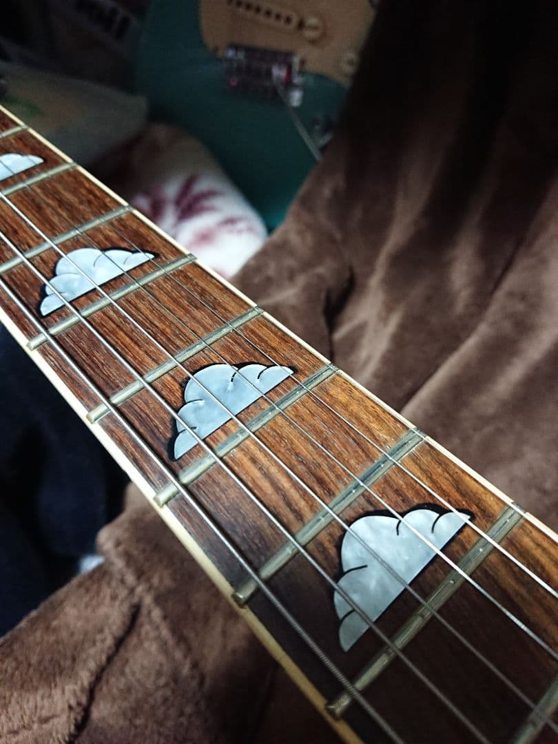 【土日限定】カスタム モッキンバード モデル ARIA hide