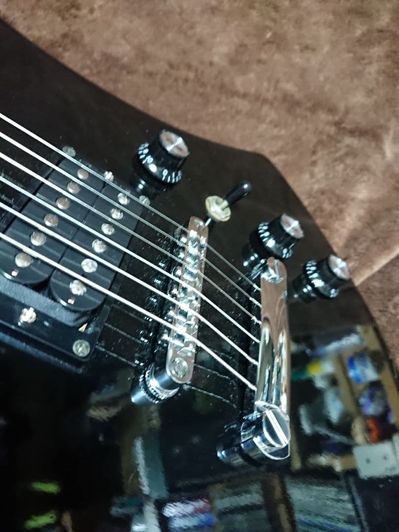 【土日限定】カスタム モッキンバード モデル ARIA hide