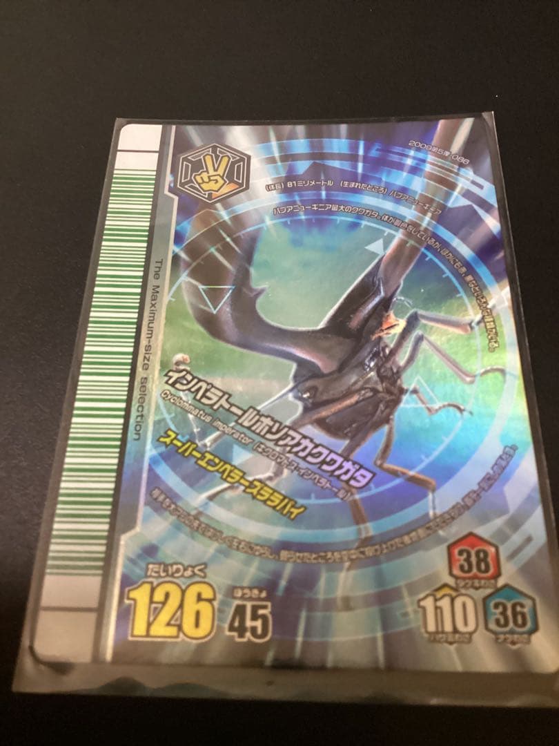 希少　ムシキング　2009第5弾　最大ムシ13種　 25枚