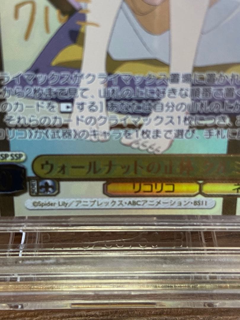 BGS10 ブラックラベル　ウォールナットの正体クルミSSP