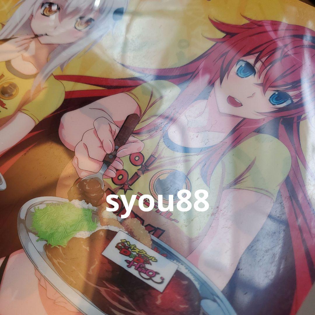 ハイスクールD×D　リアス・グレモリー　クリアファイル　ゴーゴーカレー　秋葉原