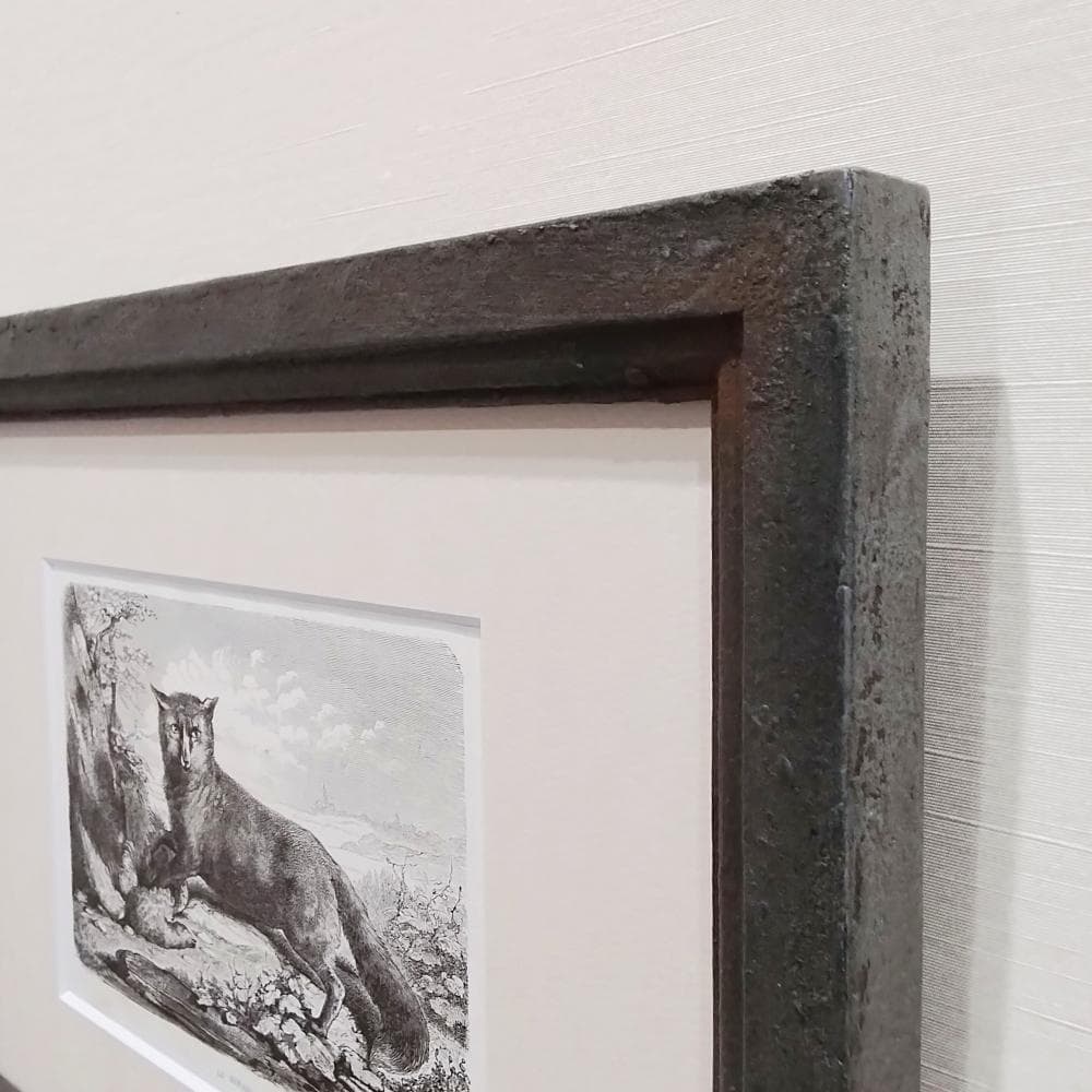 キツネの図版　フランス　アンティーク　版画　1880年　動物　博物画　額縁