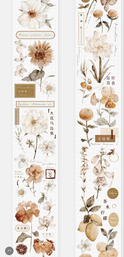 《最終値下げ》海外 マスキングテープ　雀斑茶 6点⚠️pet（33.324