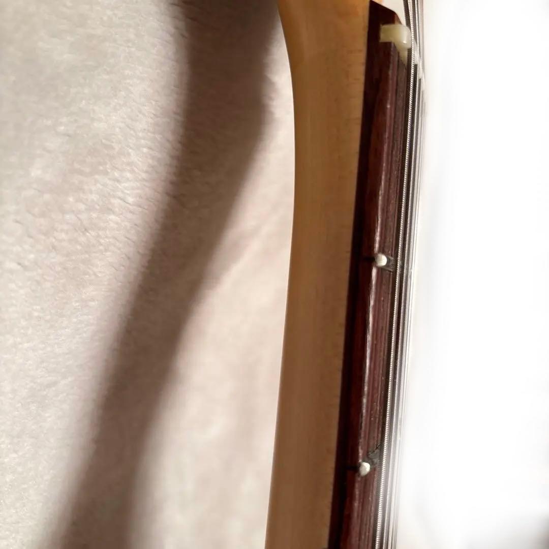 【激鳴】フジゲン Neo Classic NST20RAL-VSB/02