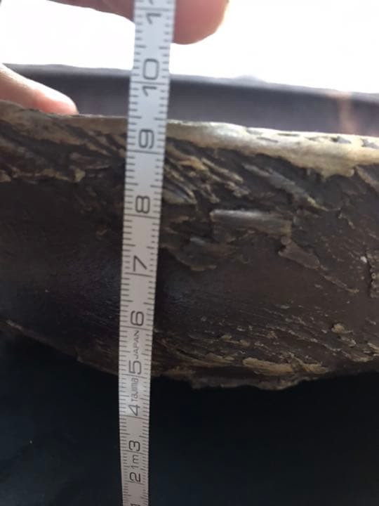 希少時代手作り松皮大きい盆栽鉢木肌作り植木鉢大寄せ植え鉢30cmゴツゴツ南蛮鉢