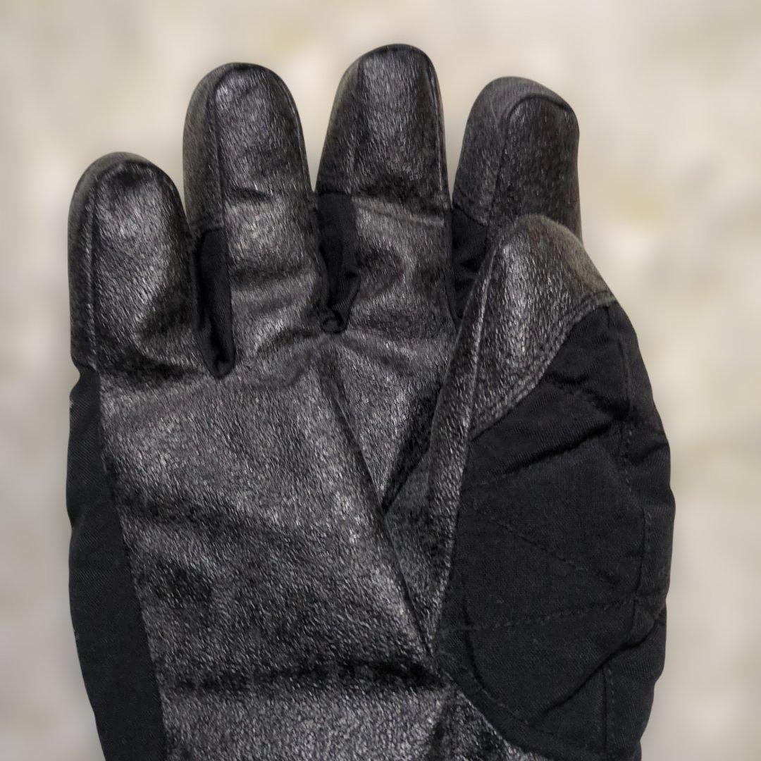 NIKE ナイキ　ACG GORE-TEX GLOVE 刺繍ロゴ　スキー　L