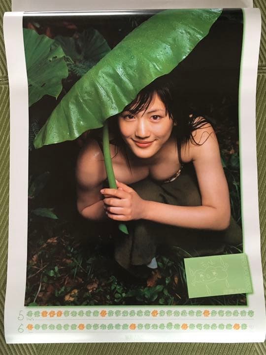 綾瀬はるか　2003年　カレンダー　Ｂ２サイズ