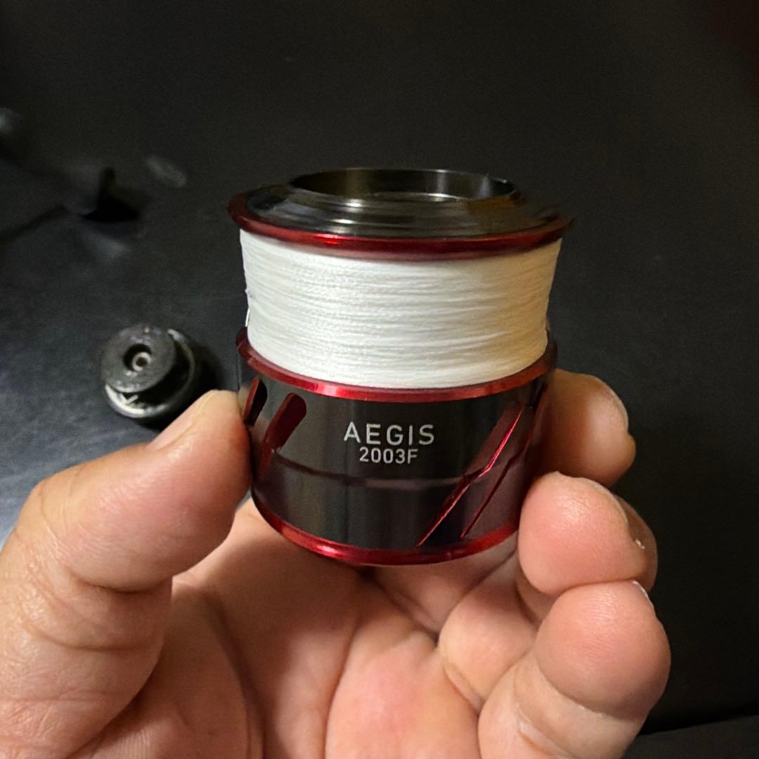 し*い様 （他出品とセット販売可能） 中古美品　ダイワ　17イージス2003F