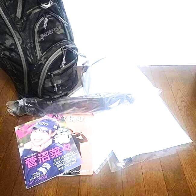 BRIEFING ブリーフィングキャディバック 限定 高級 正規品 15分割