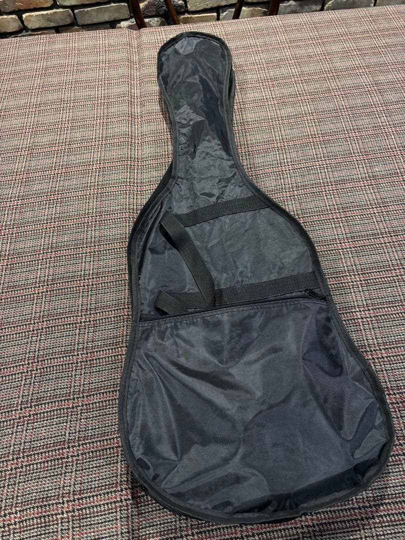 アコスタニック？　テレキャスター