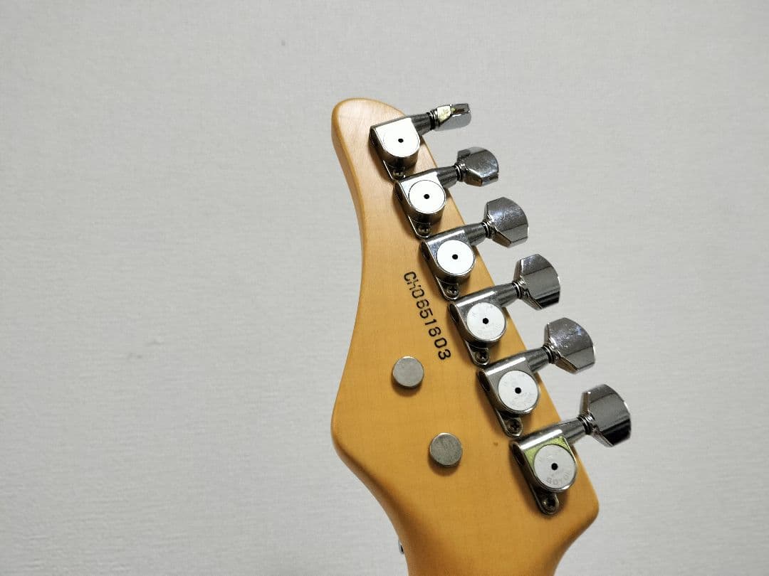 ESP オーダーメードギター　ギグケース付き