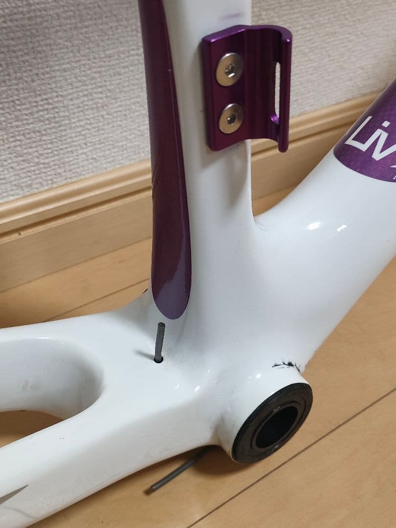 GIANT Liv フルカーボン ロードバイク フレーム xxs 女性/キッズ