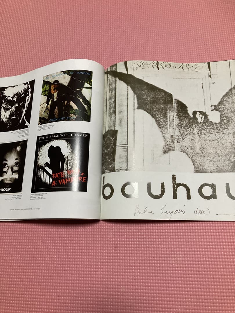 ■ The Album Cover Art of Punk