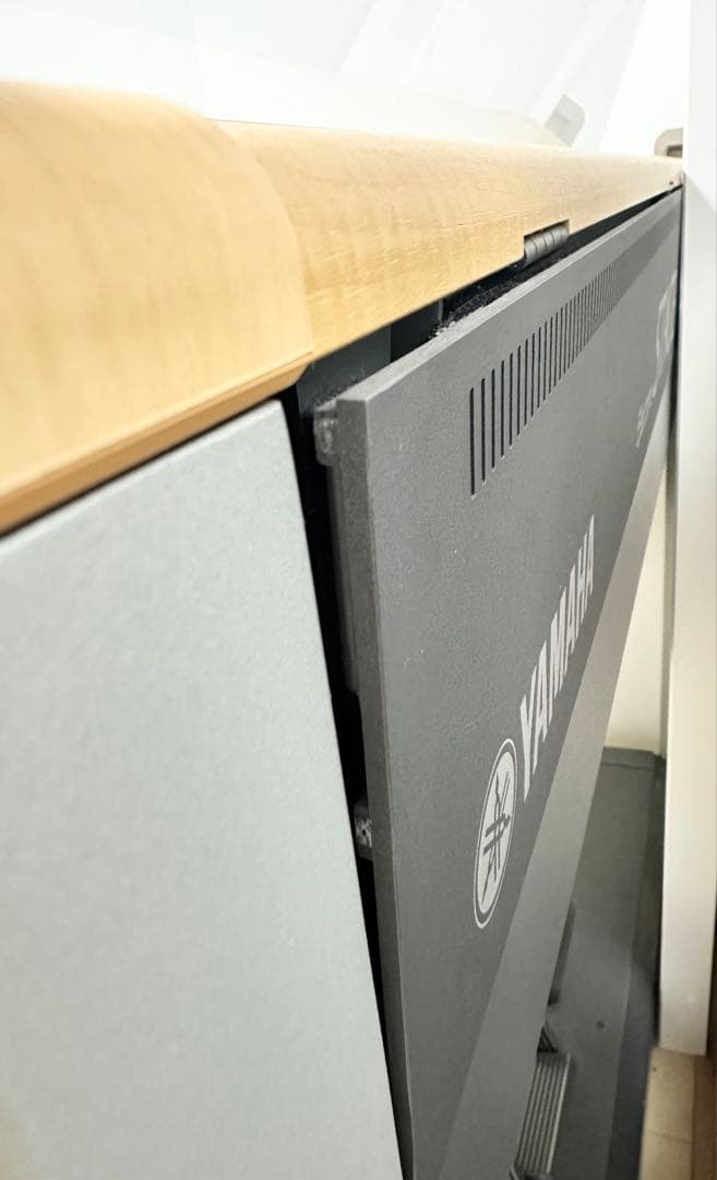 エレクトーン ELS-02Cカスタムモデル（バイタライズ）