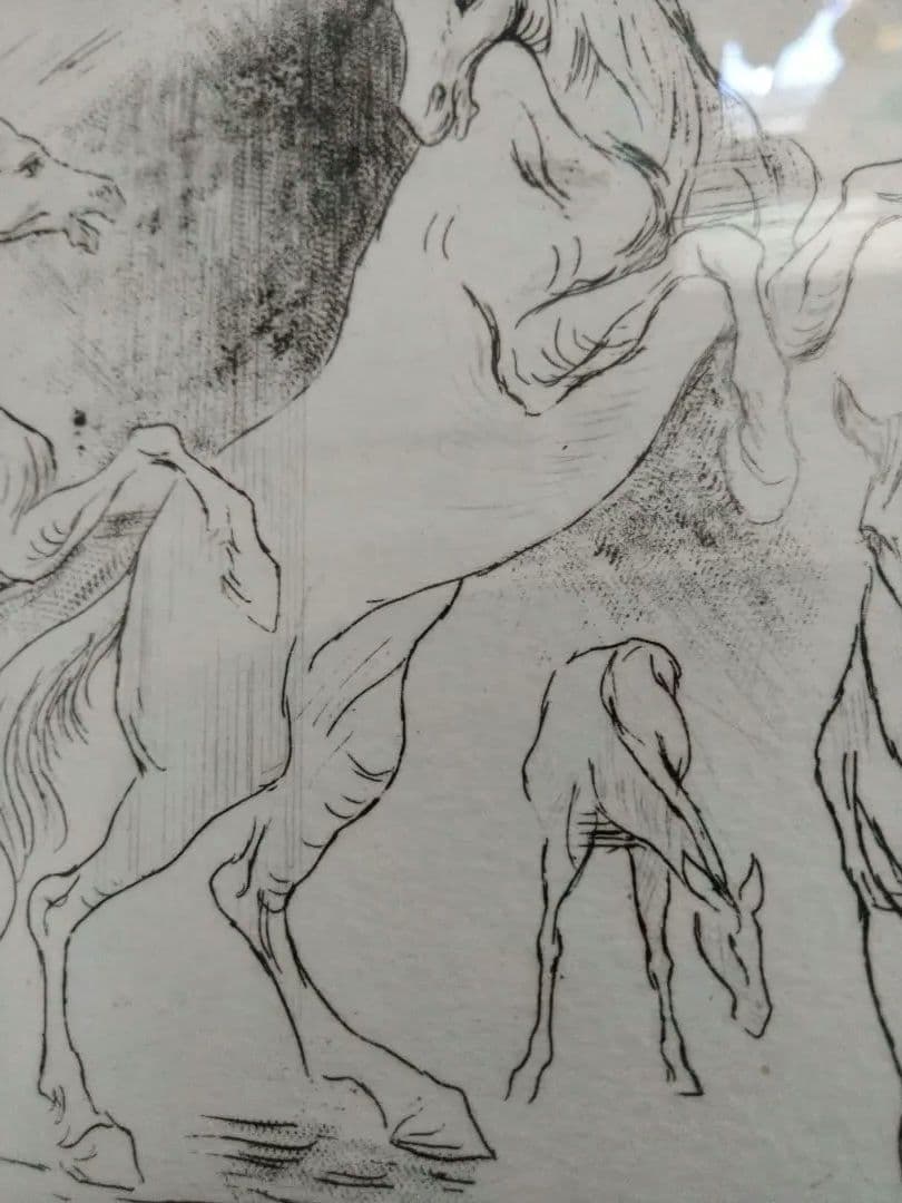 加藤助八。馬のエッチング　作品 　37/50