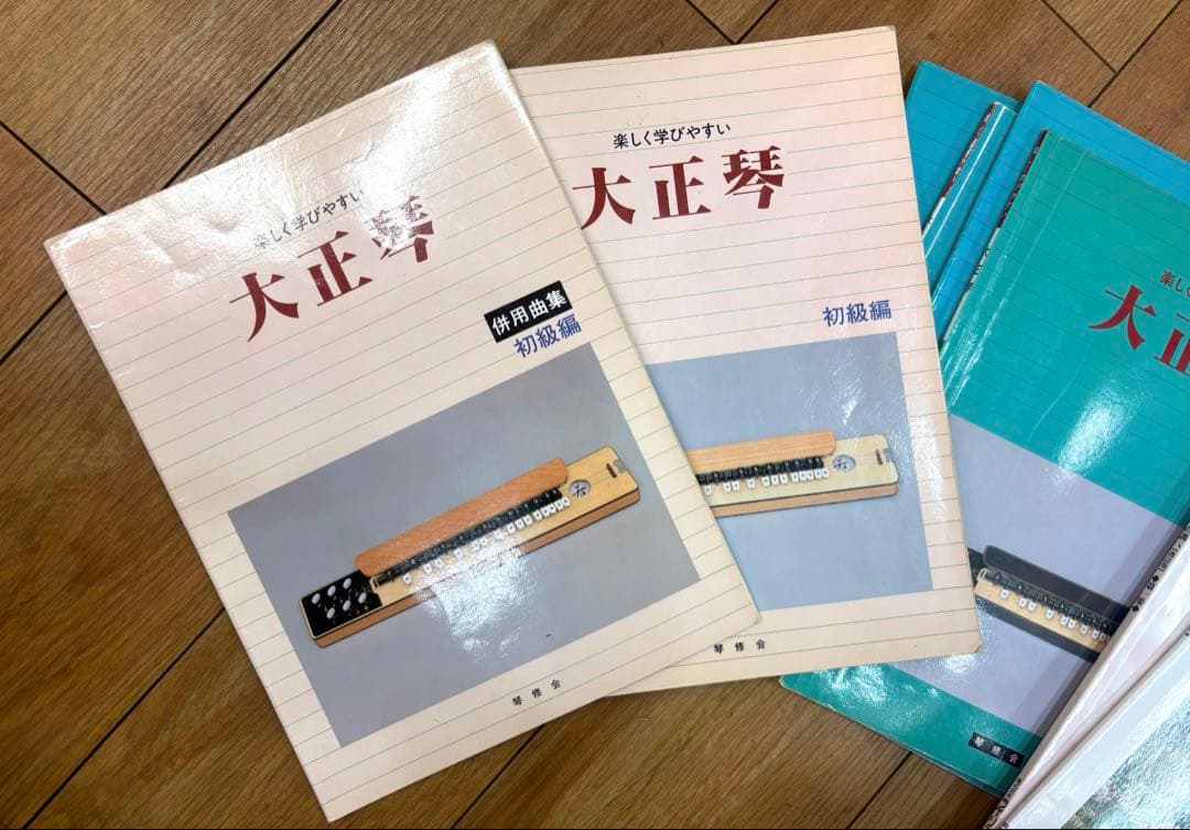 ライリッシュ 大正琴 LPS50 和楽器 専用ソフトケース 楽譜付き