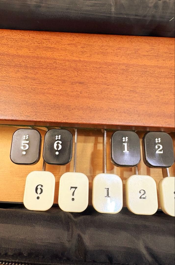 ライリッシュ 大正琴 LPS50 和楽器 専用ソフトケース 楽譜付き