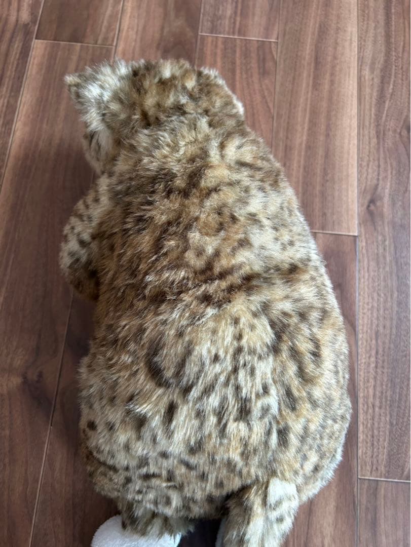 猫　ぬいぐるみ　カドリー　CUDDLY