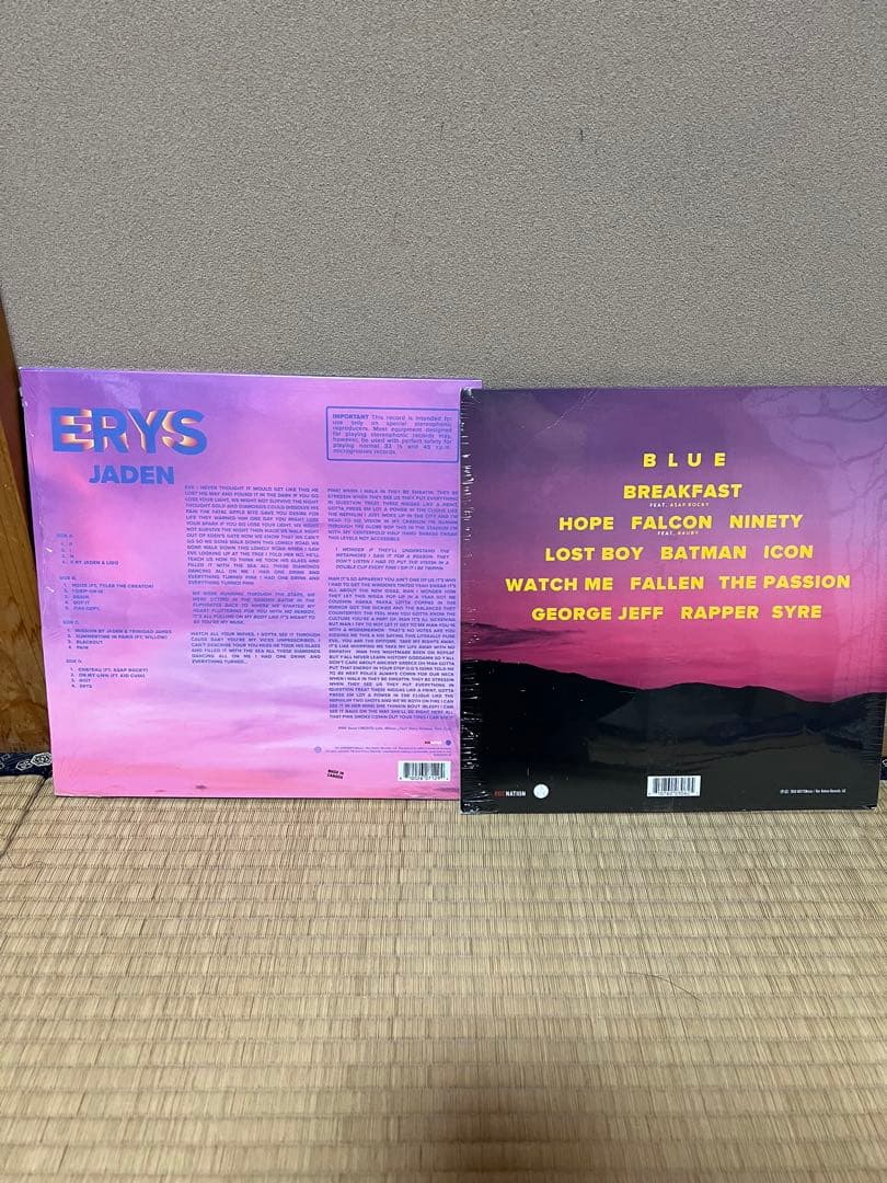 激レア jaden smith レコード 2枚 msftsrep