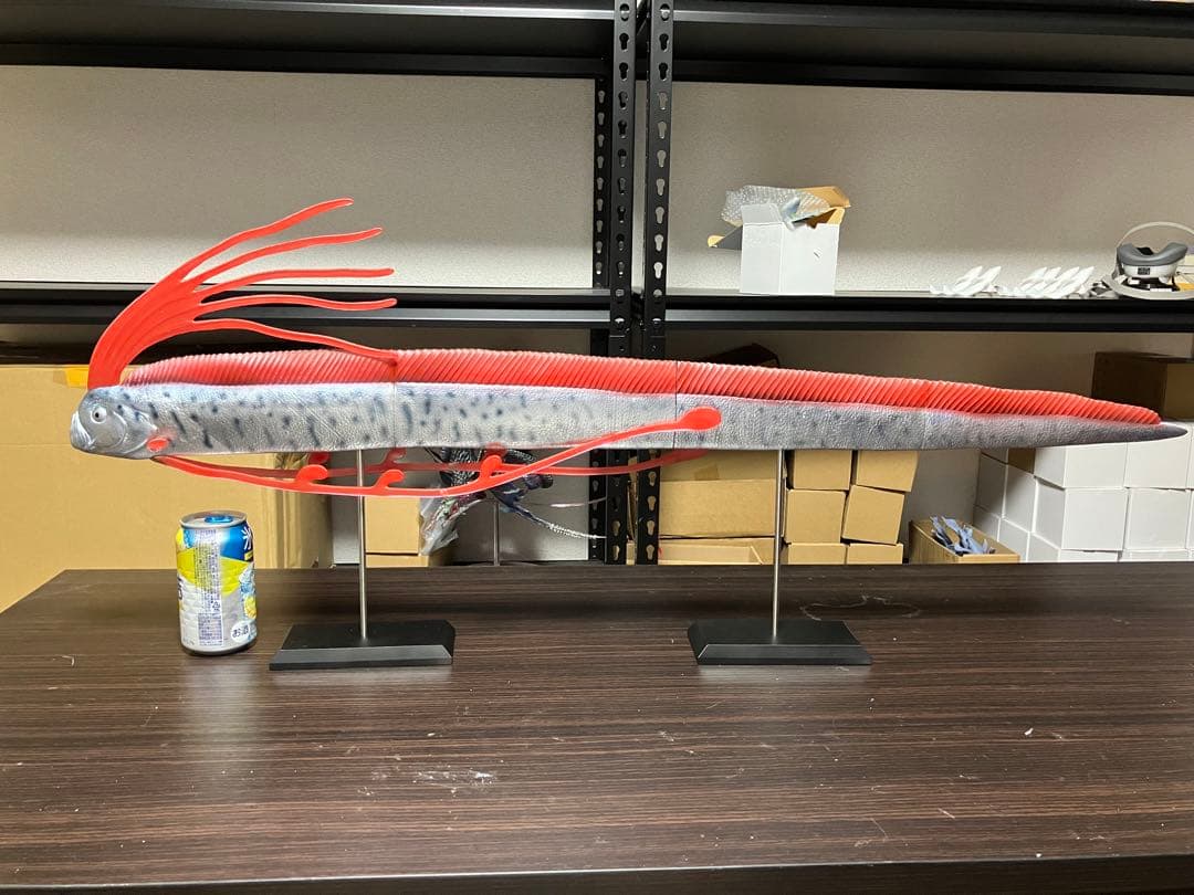 ディギ　リュウグウノツカイ