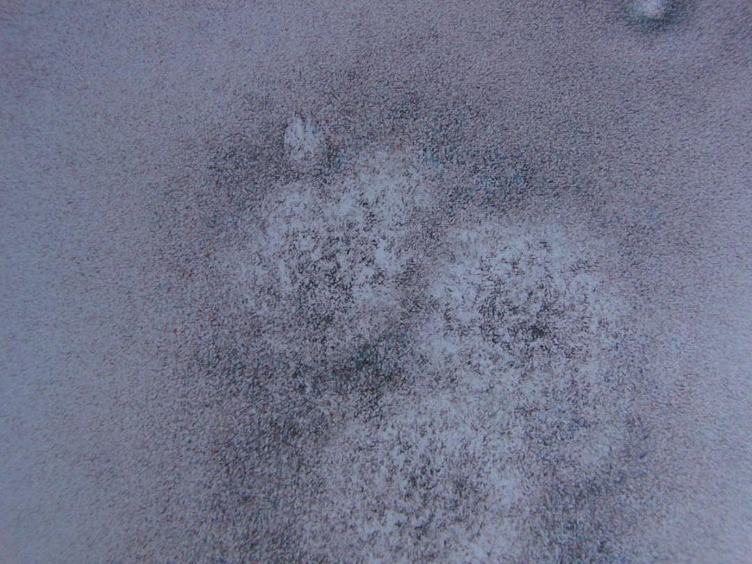 高山辰雄、【牡丹　洛陽の朝】、希少な額装用画集より、新品額装付