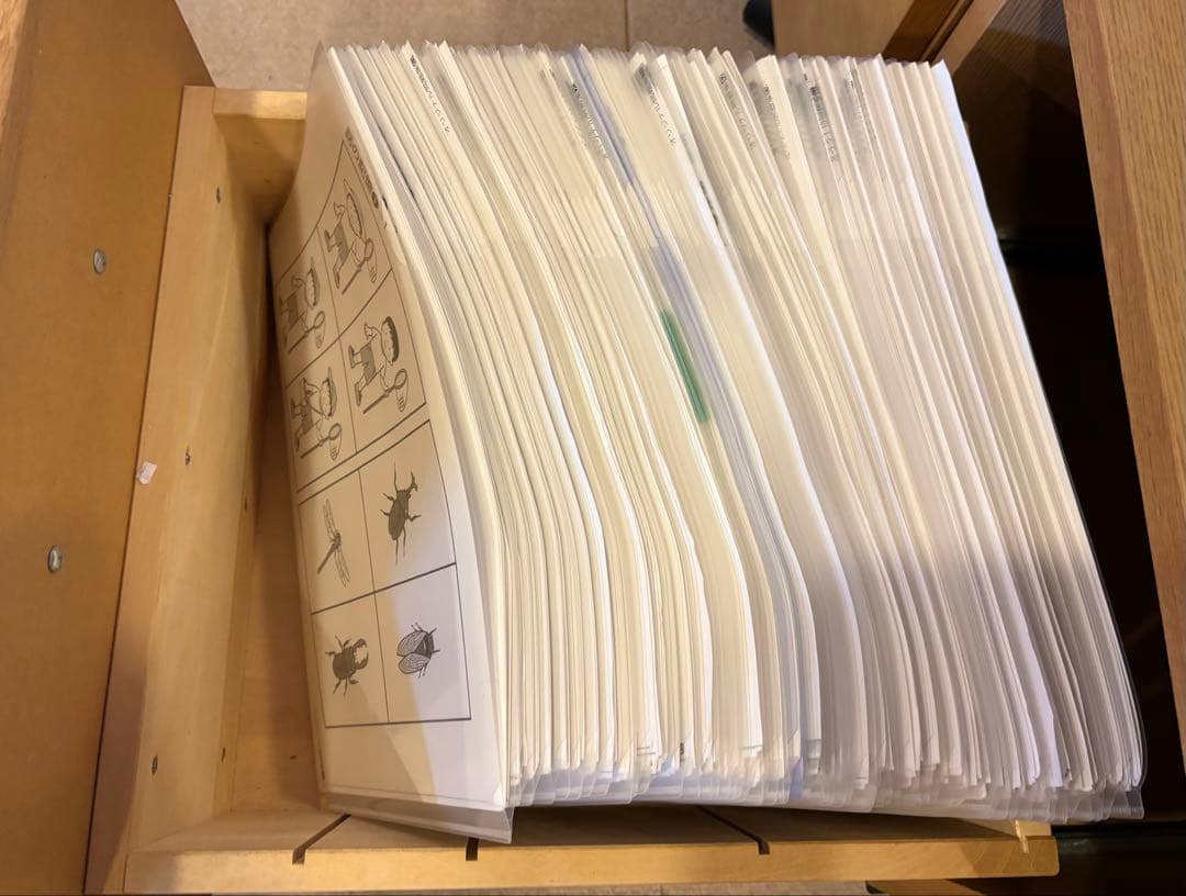 伸芽会オリジナル問題集　フルセット　2026年度