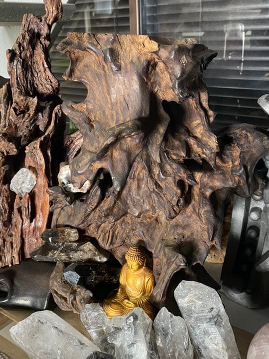 龍神流木とお釈迦様