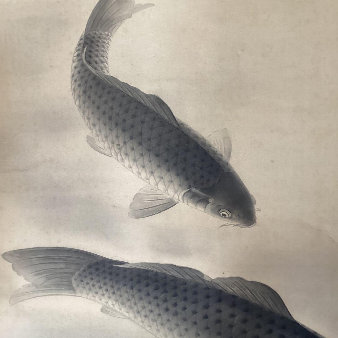 【新　樹　筆】　　絹本彩色画掛軸一幅　【　遊　鯉　図　】　共箱　軸先骨　476