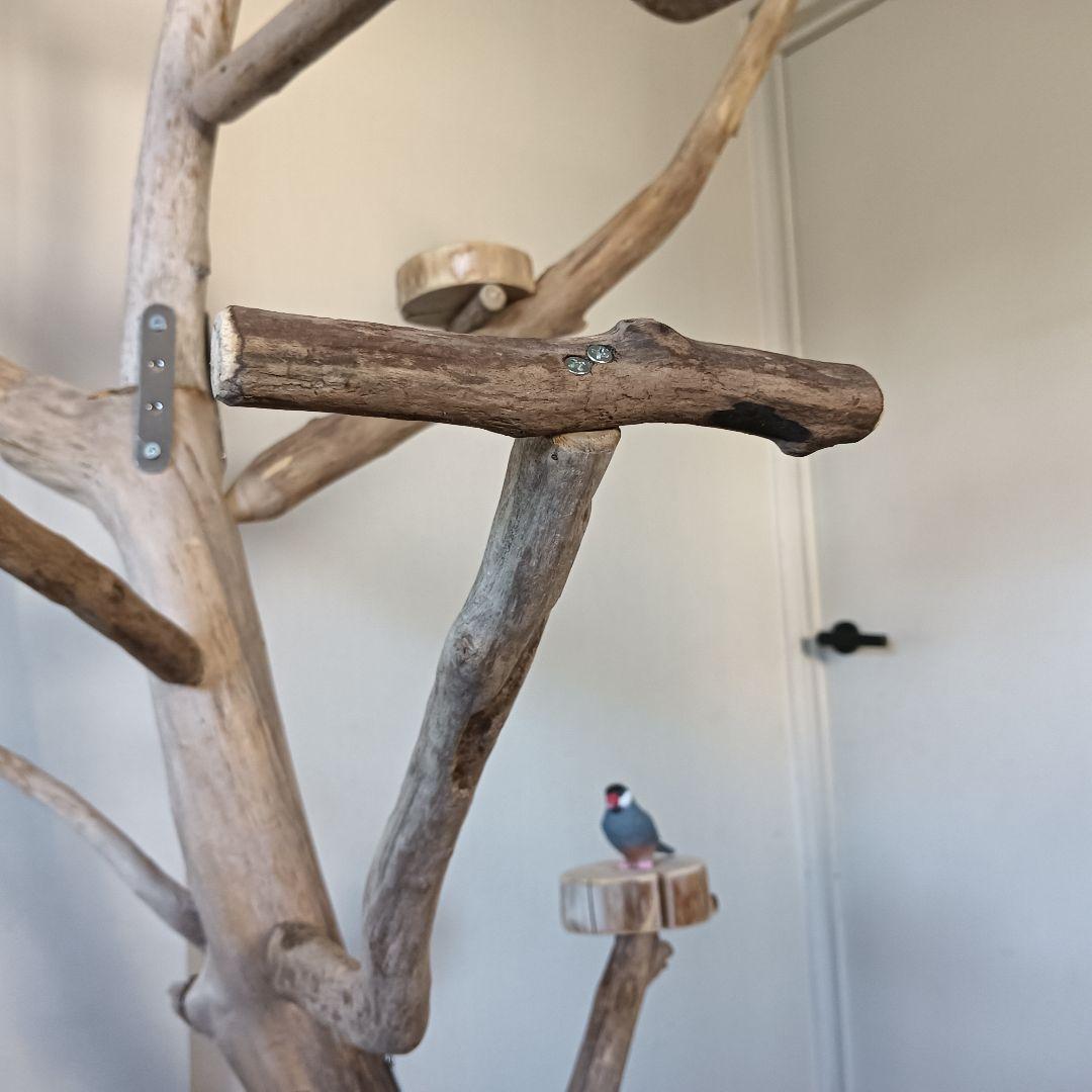 バードアスレチックジム 大型 ⑪ 天然木 自然木 流木 インコ おもちゃ