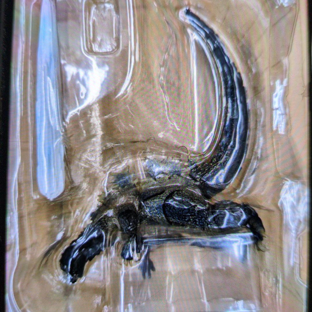 SHモンスターアーツ。ゴジラ1964出現バージョン.モスラ対ゴジラ。