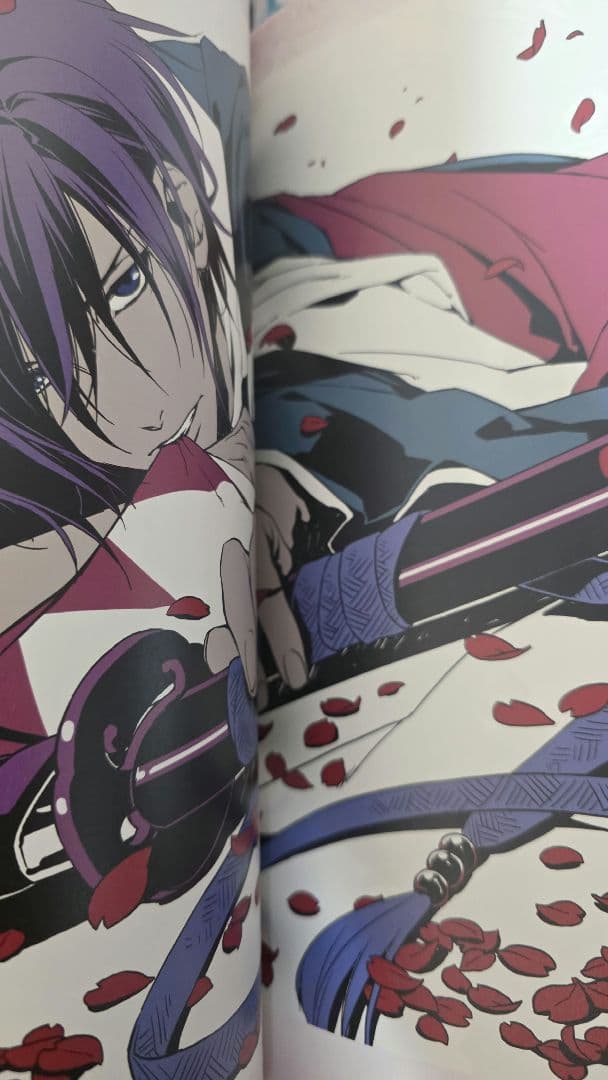 薄桜鬼 十周年記念本　～桜花爛漫～