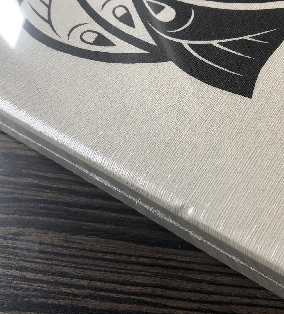 M.C.エッシャー Escher 2006 文化村 限定版 DVD カタログ