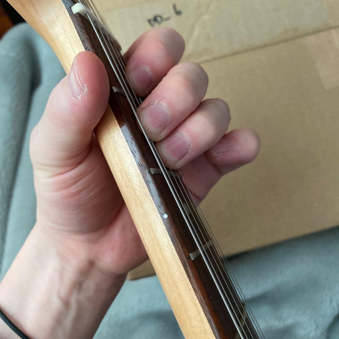 ギター yasubeeBacchus TACTICS MNG SC