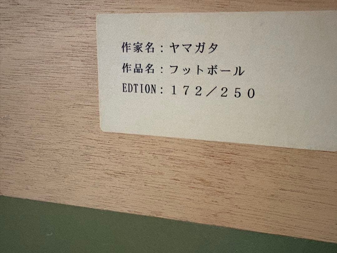 ヤマガタ フットボール 172/250 サイン入り